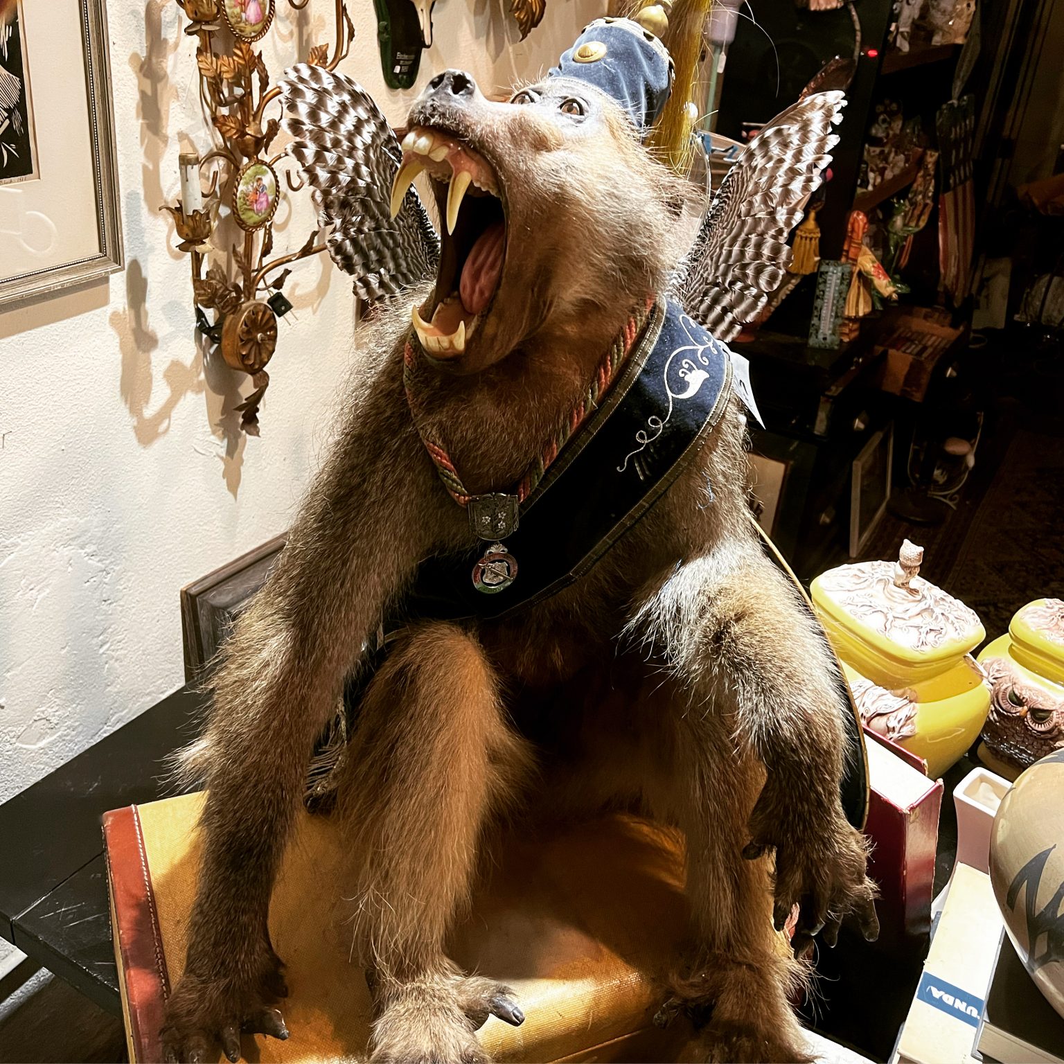 taxidermy | DOLLY PYTHON