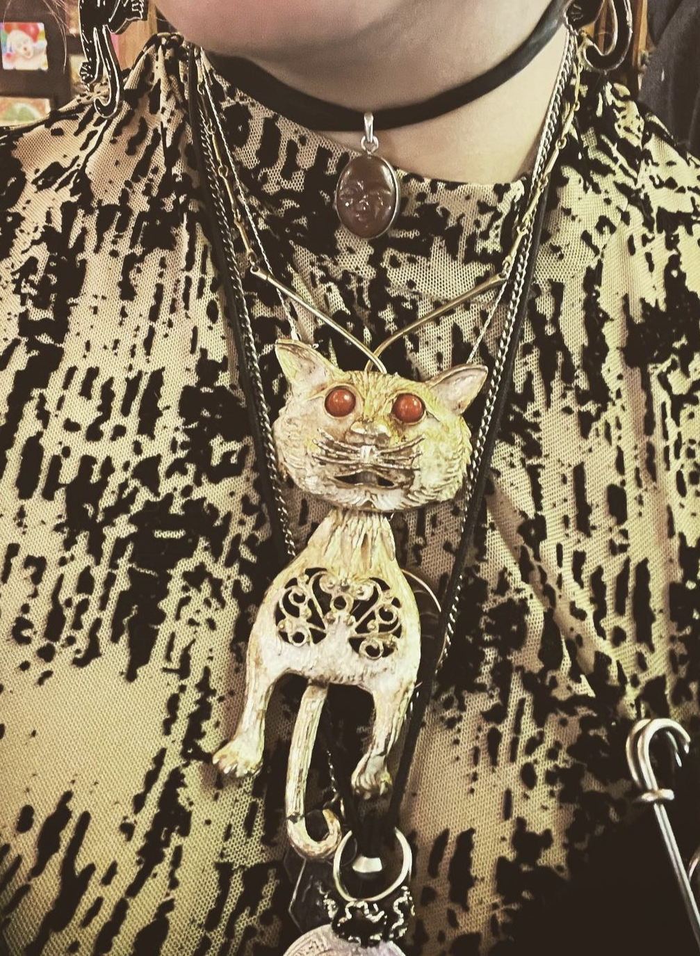 Cute Kitty | DOLLY PYTHON