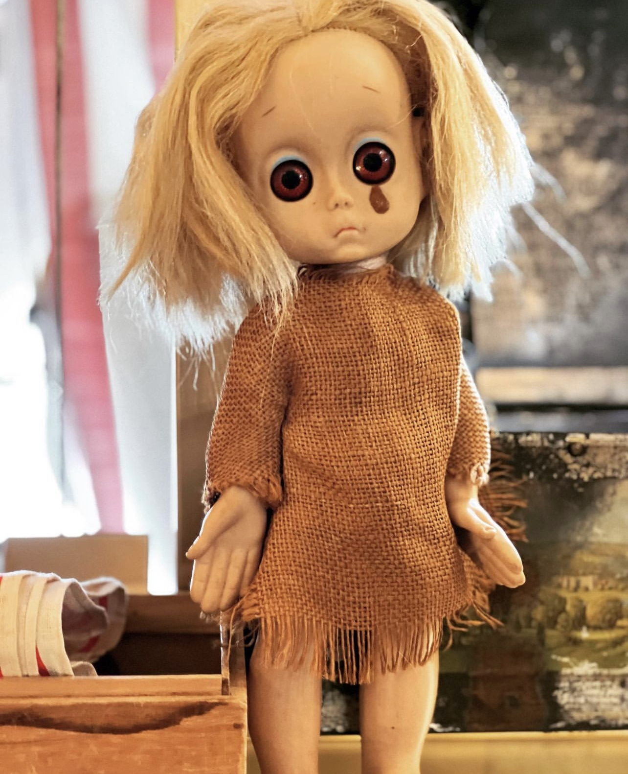 dolls | DOLLY PYTHON