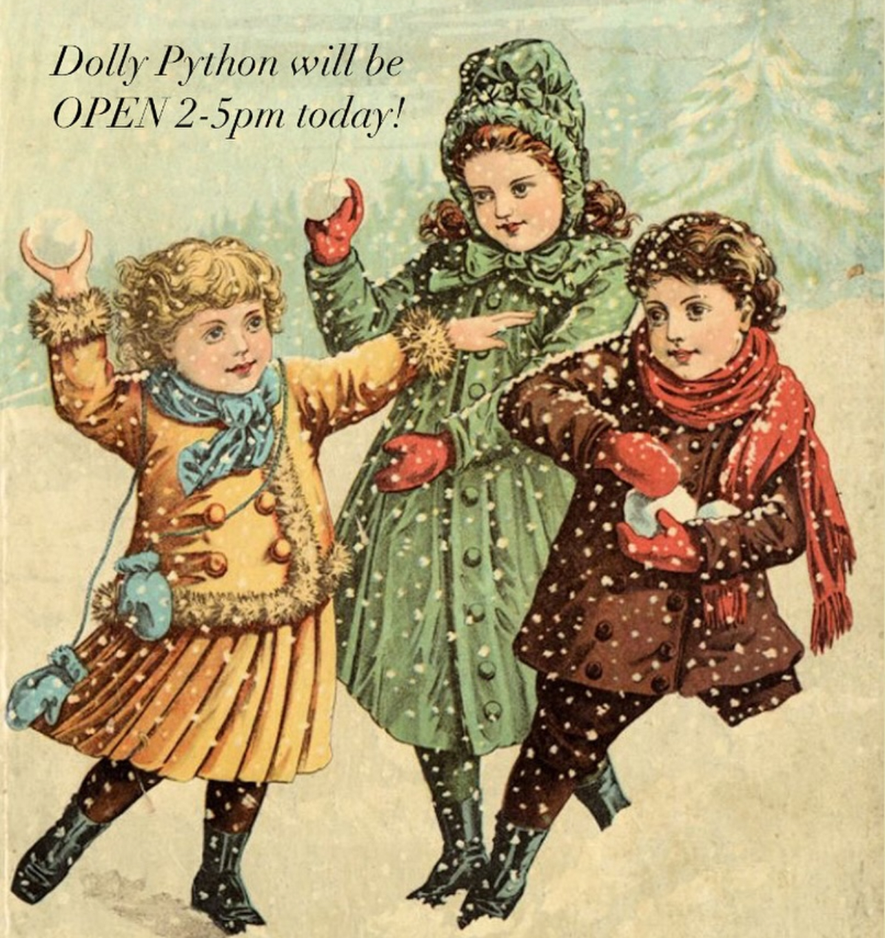 DOLLY PYTHON | Page 5