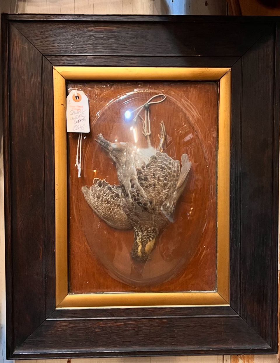 taxidermy | DOLLY PYTHON