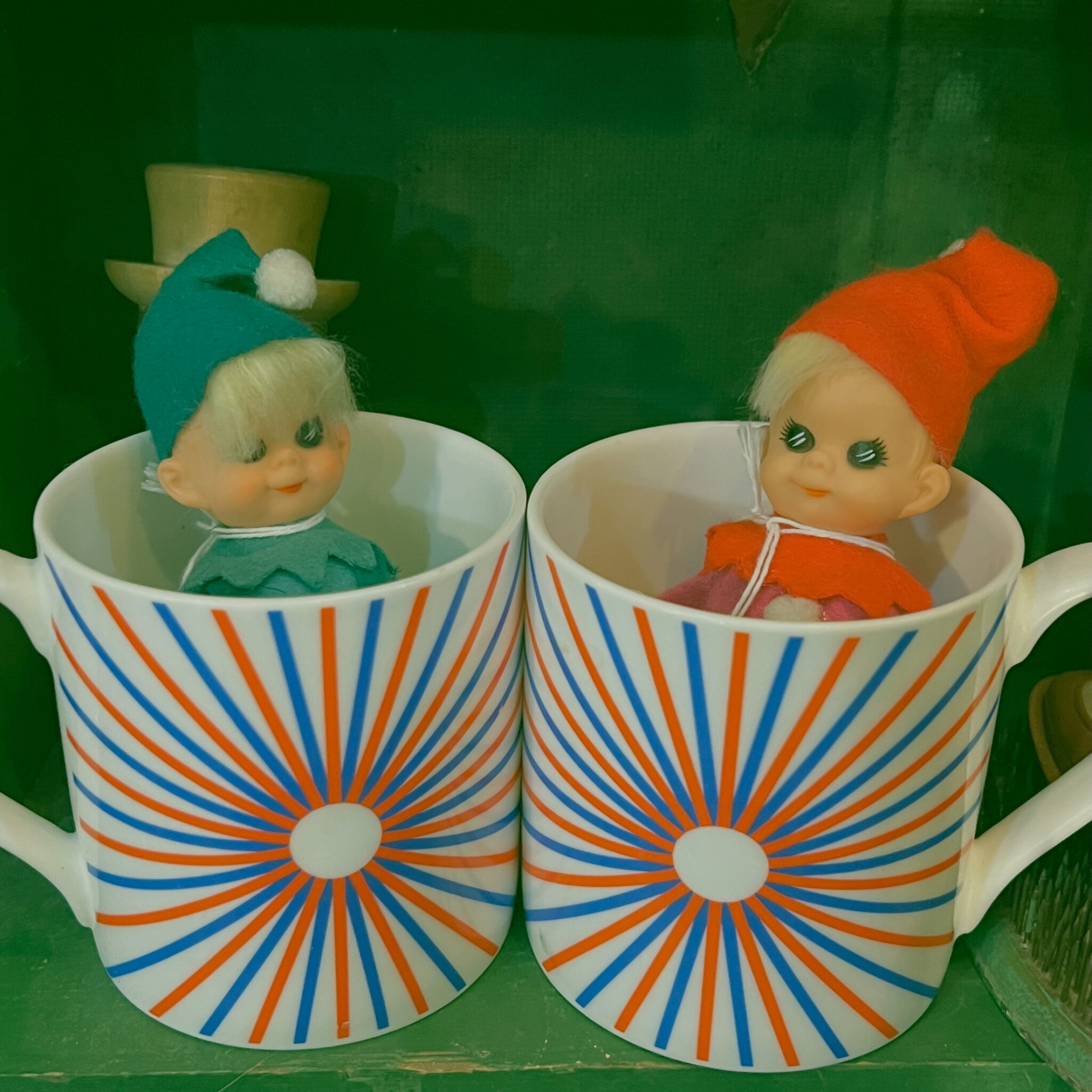 dolls | DOLLY PYTHON